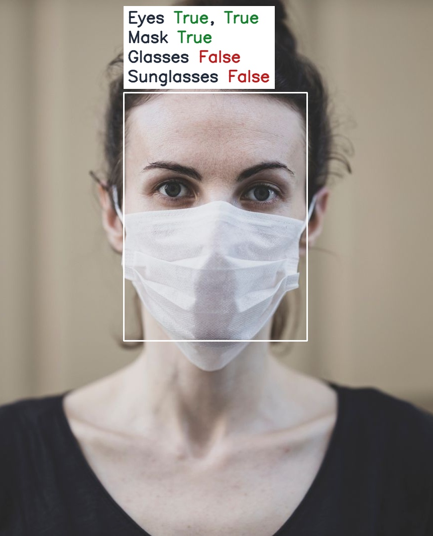 FaceAttribNet detecting a face mask at probability 1.000