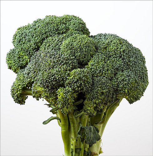 Агротехника брокколи. Варис брокколи реьенуц. Брокколи (Broccoli) ПВЗ. Брокколи (Broccoli) ПВЗ 2.