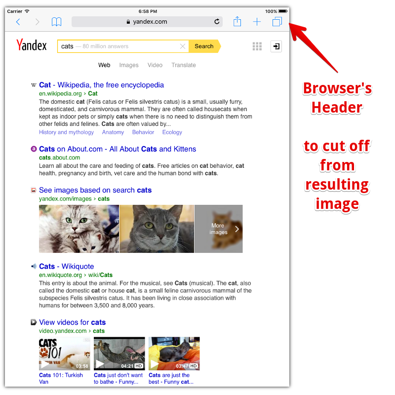 iOS Safari with browser header