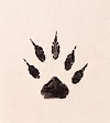 itachiashiato