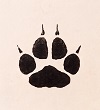 tanukiashiato
