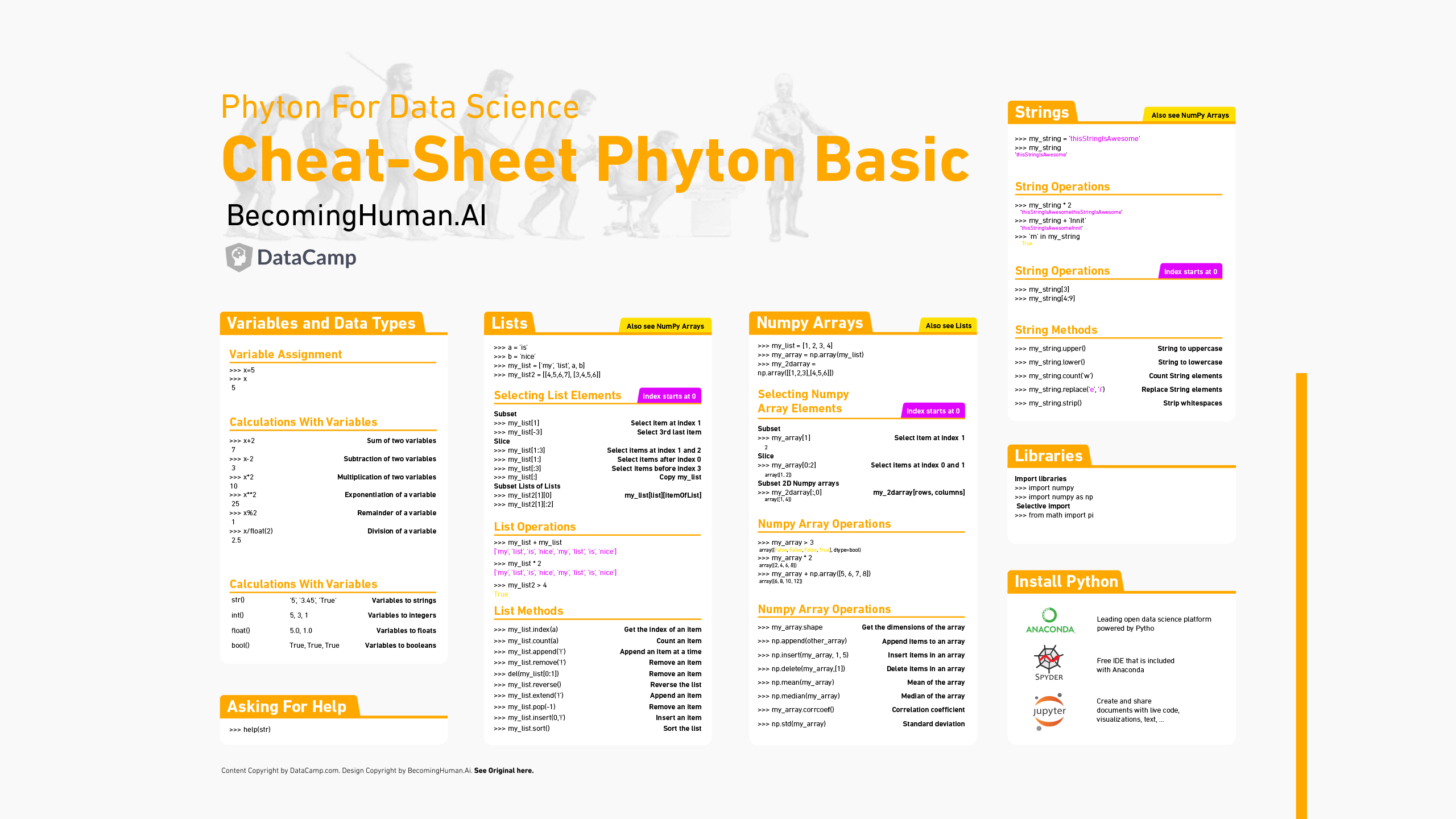 Python Basics