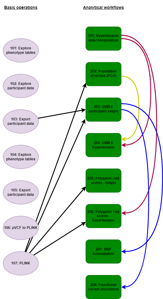 Figure 1. Workflow order and input data file relationships between Jupyter notebooks on the RAP.