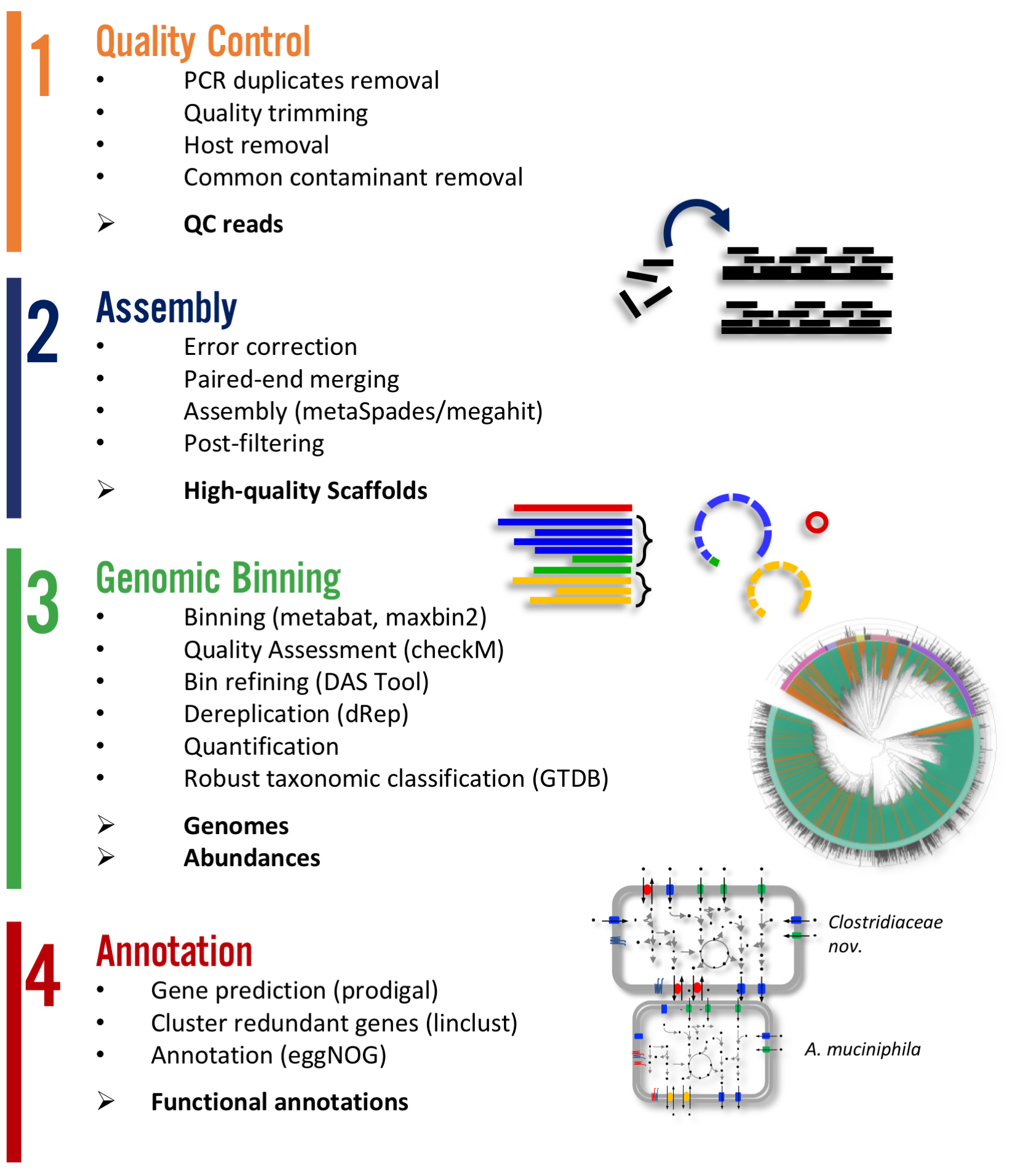 scheme of workflow