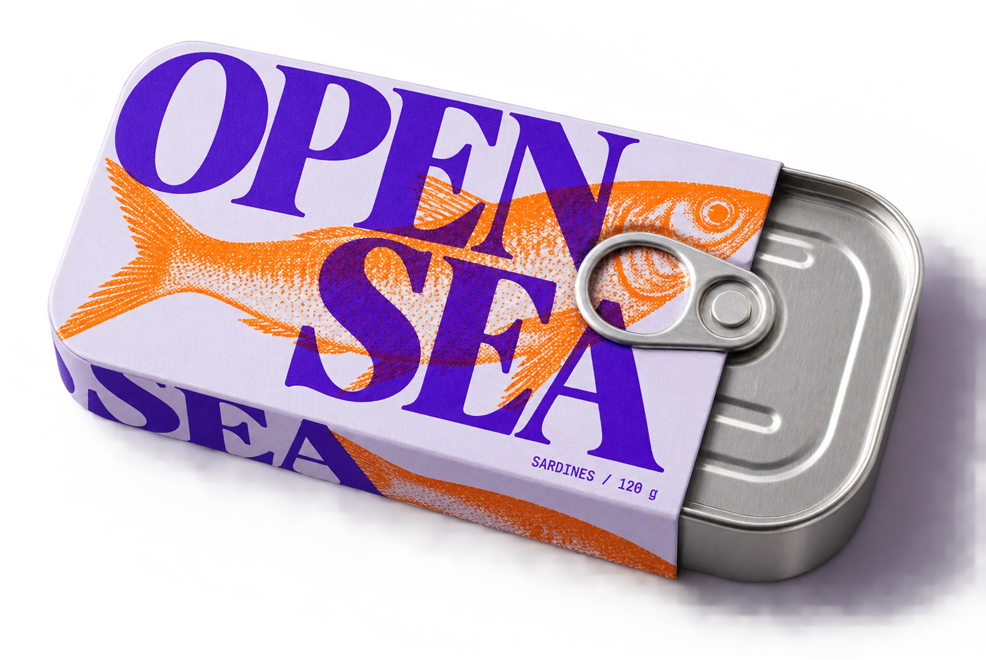 ./examples/example-sardines.png
