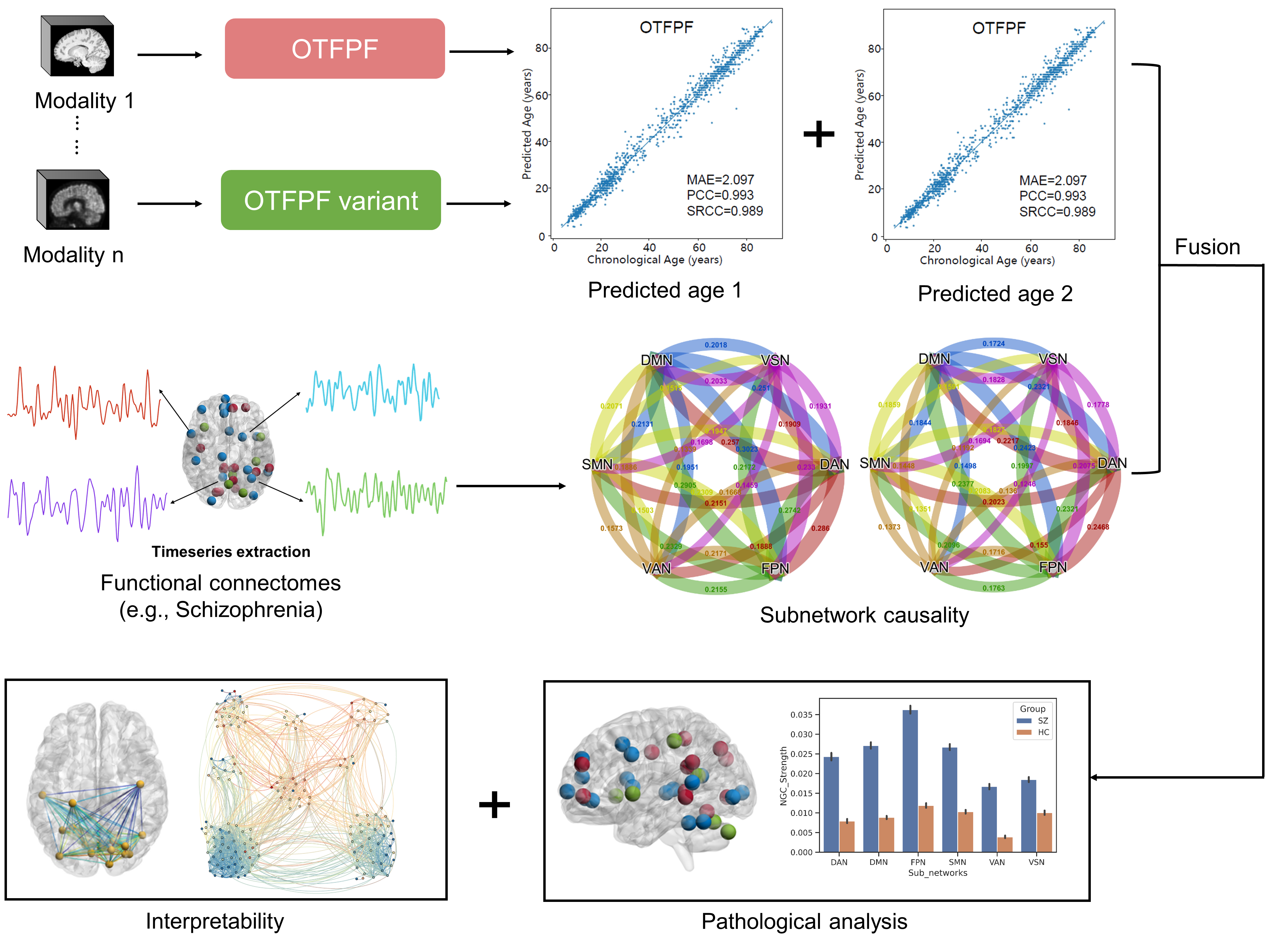 OTFPF_pathlogical