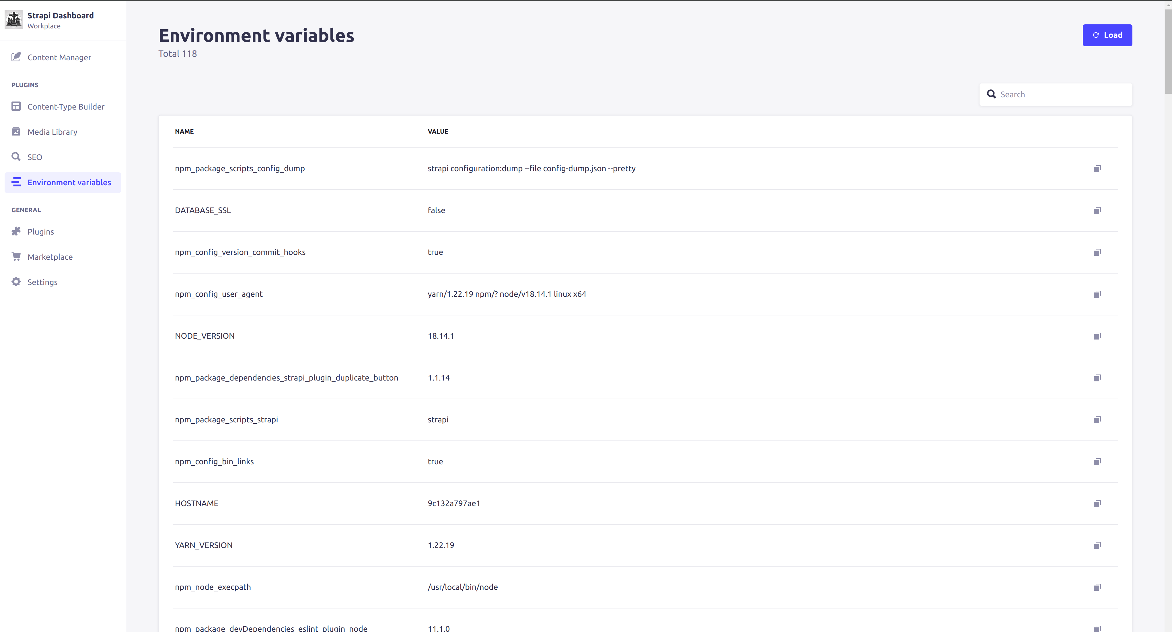 Screenshot for Strapi environment variables plugin