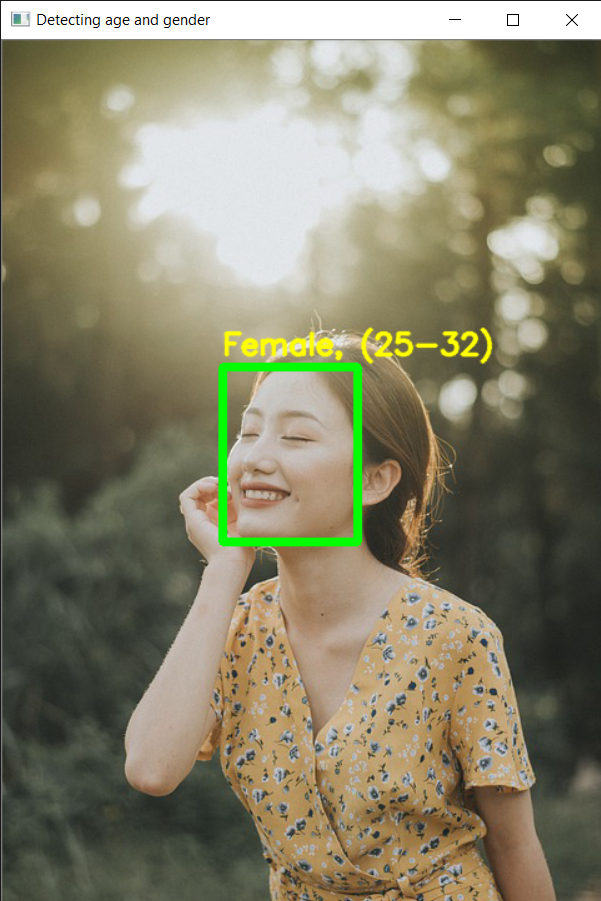 Gender And Age Detection Using Opencv