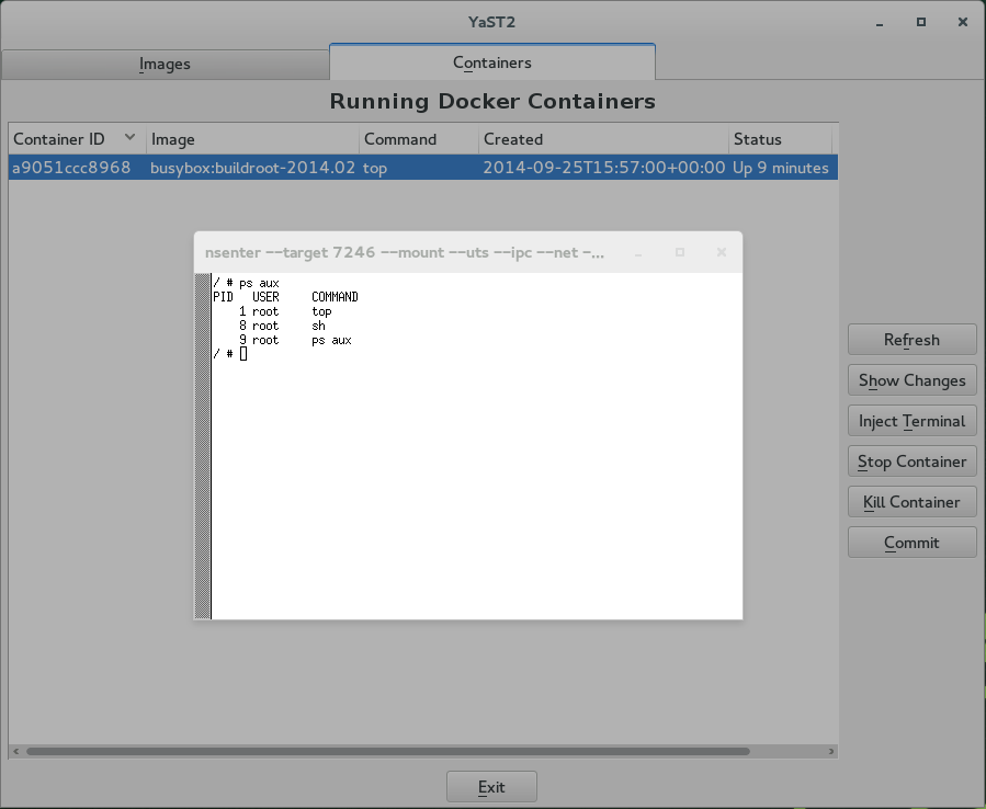 Inject terminal into Docker container