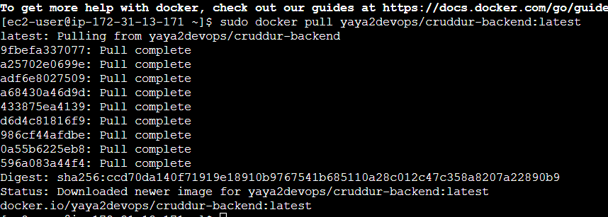 Docker Pull EC2