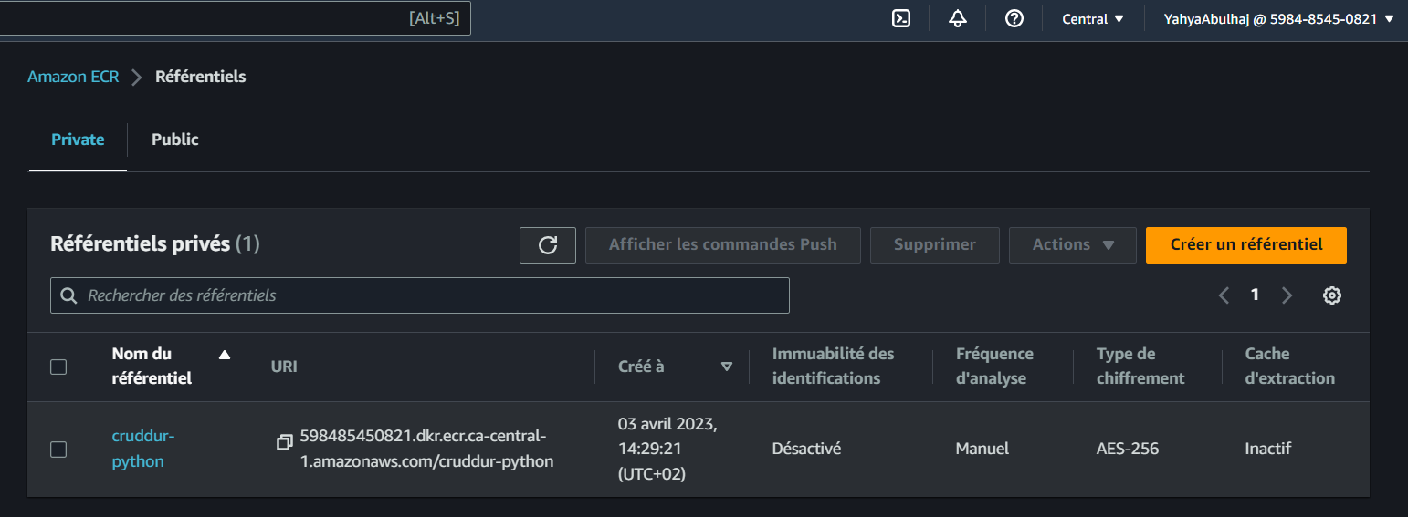 Python Image Container Registry