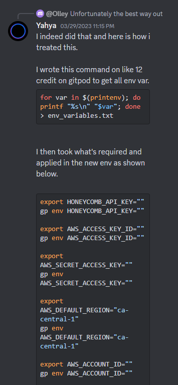 Discord conversation about environment variables