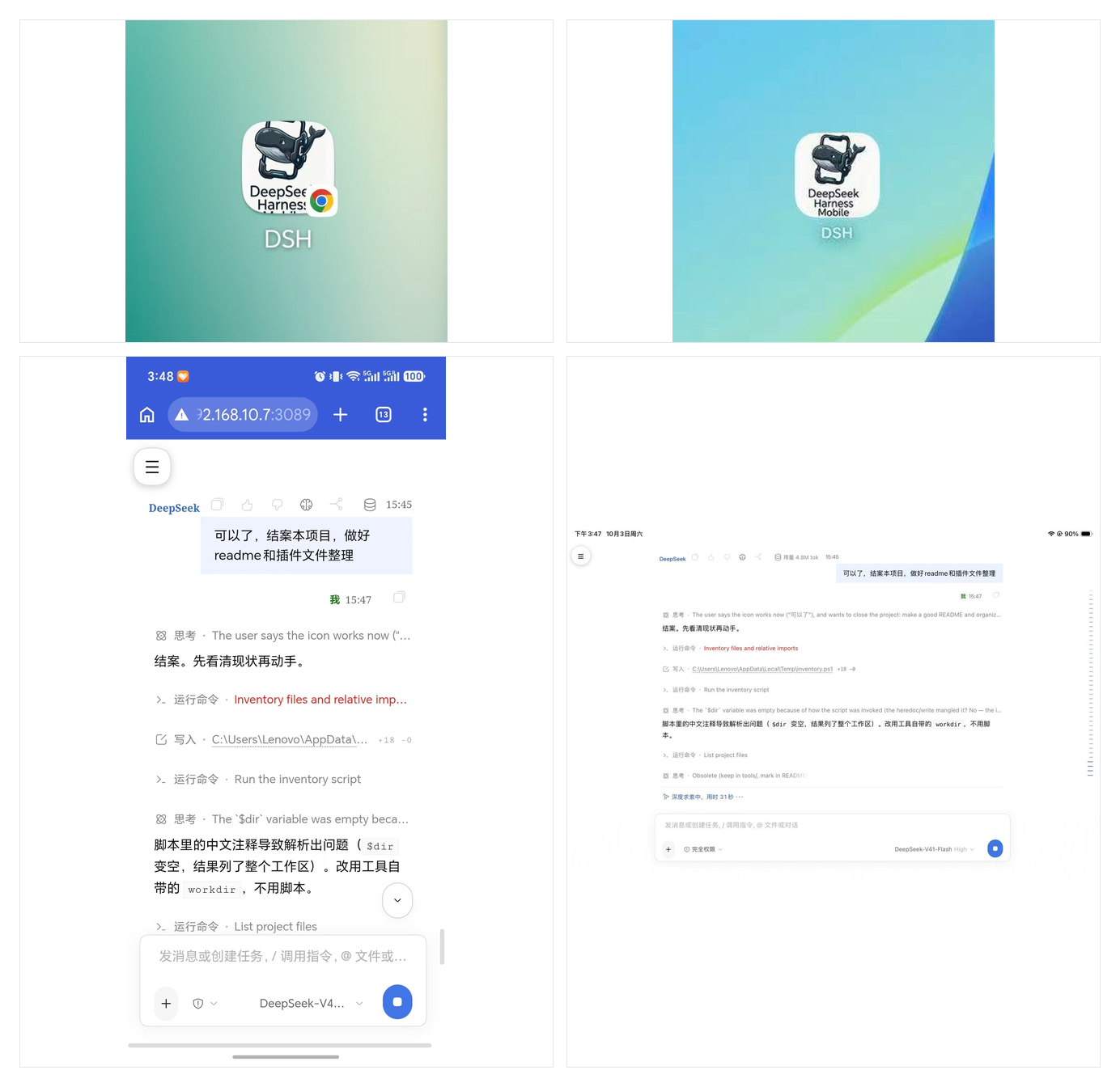 手机和 iPad 上的 DSH