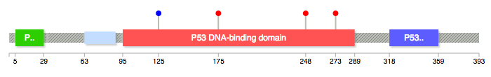 TP53 Lollipop diagram with 4 marked mutations