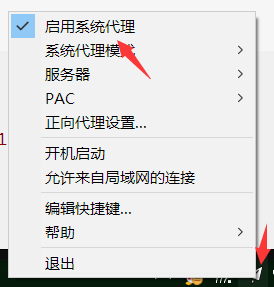 启动系统代理