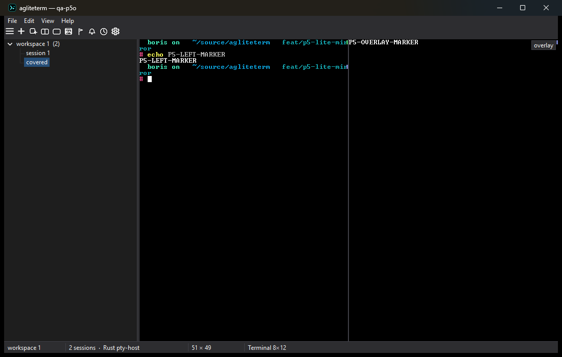 Pane overlay