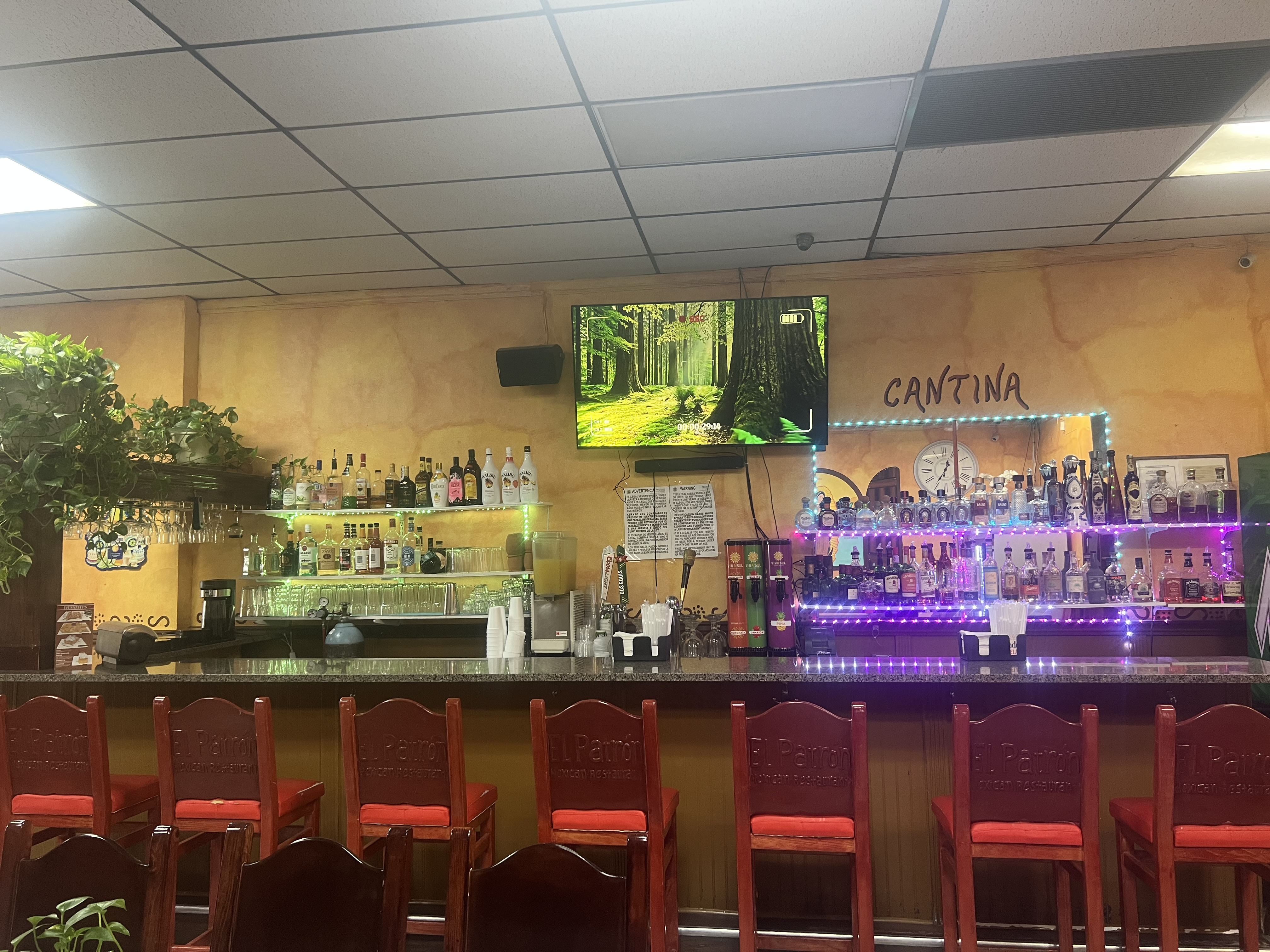 Mexican Food 2