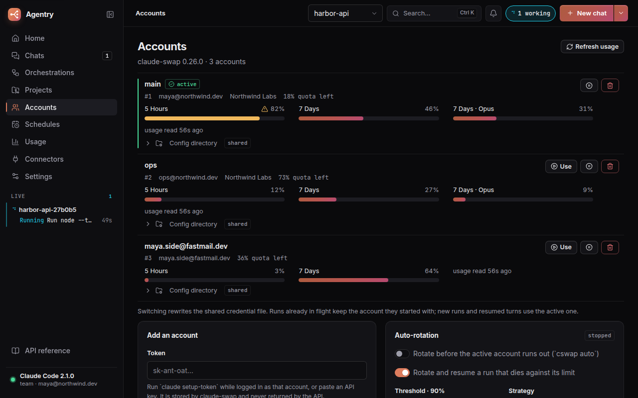 The accounts page: three accounts with the share of each usage window they have spent, and which one is active