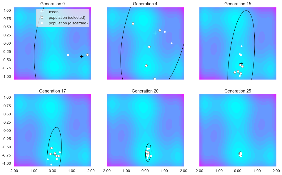 Figure 2: Optimization path