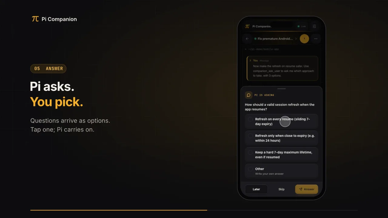 Watch the Pi Companion walkthrough (2 min)