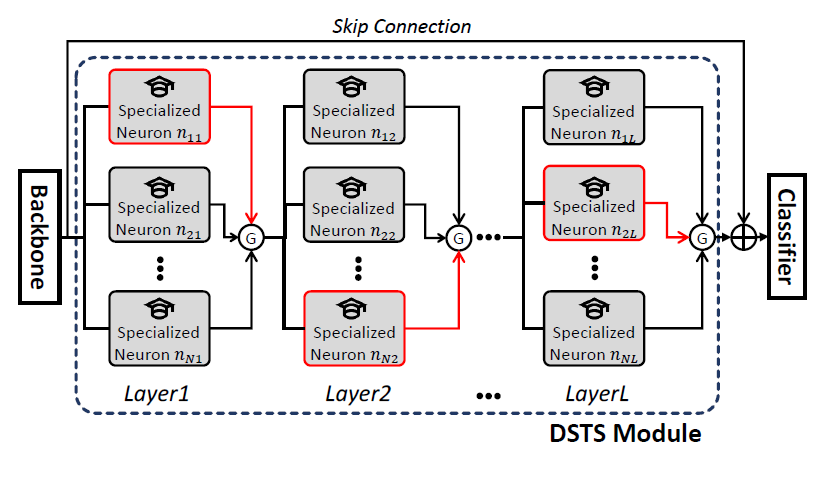 DSTS Module