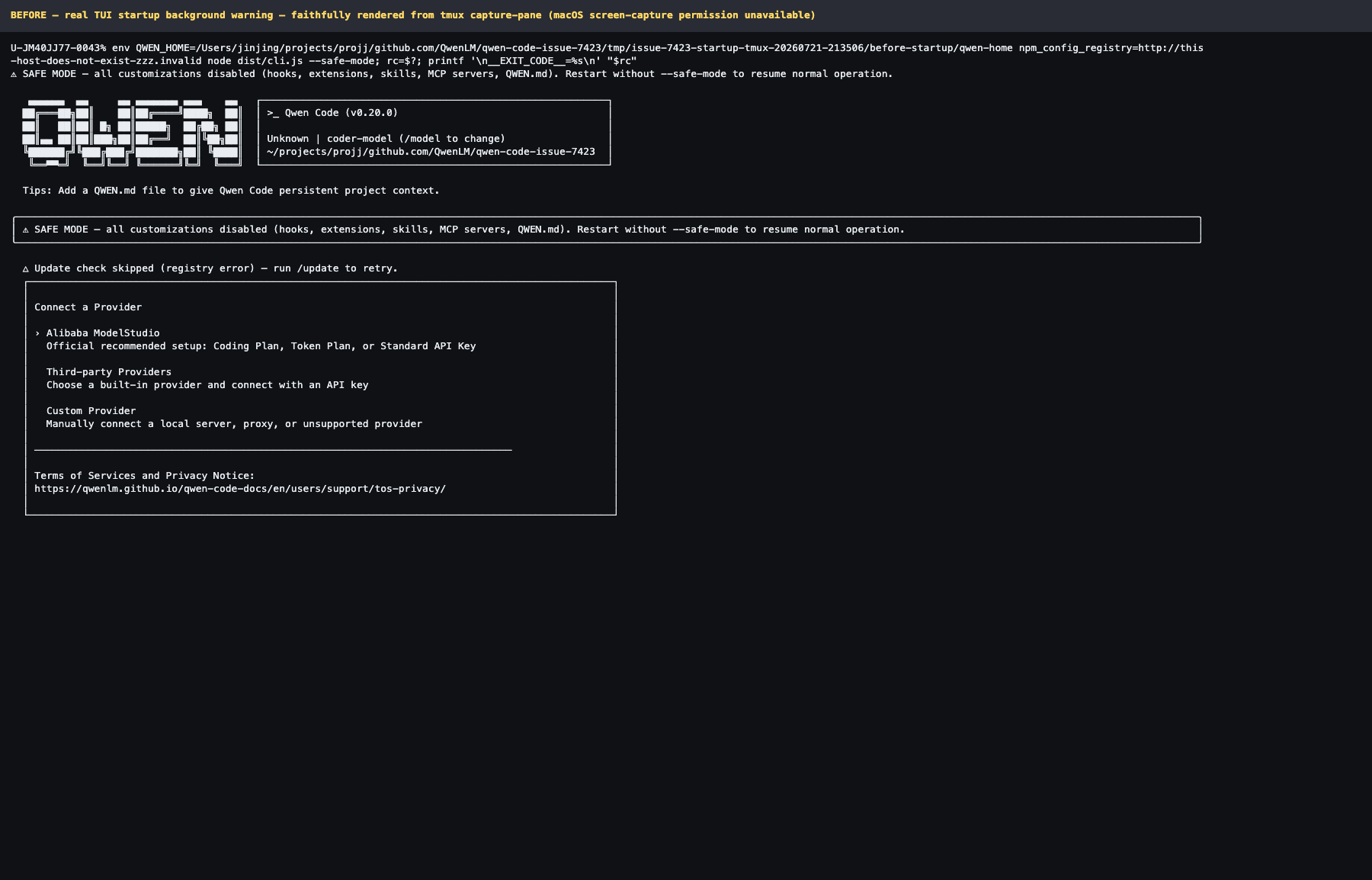 Before startup TUI: yellow warning reports registry error