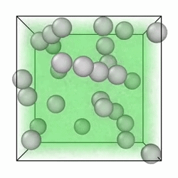 CG explicit ground truth — 1D strings