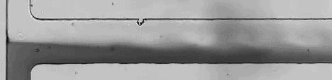 Experiment at 175 V/cm