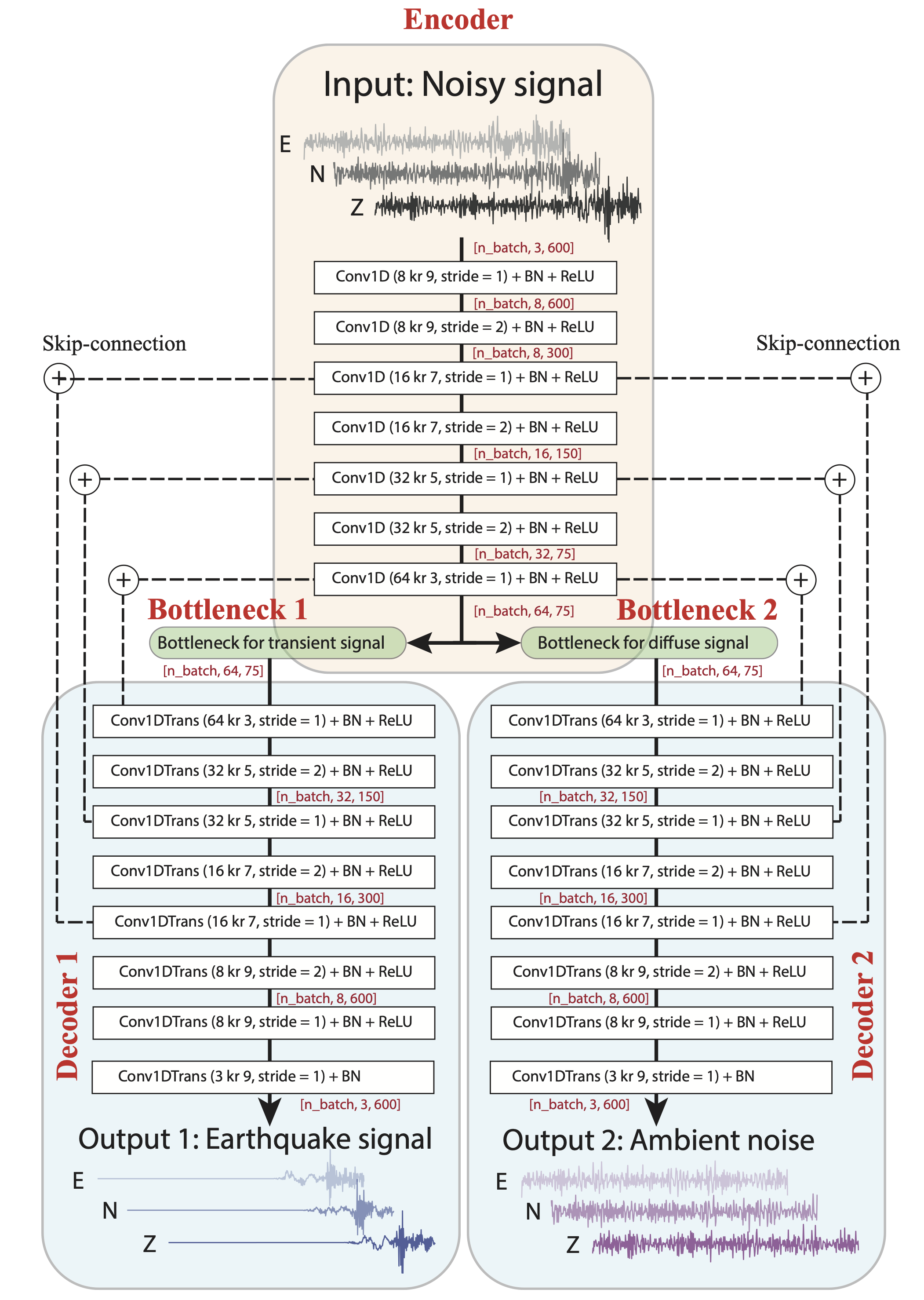 WaveDecompNet