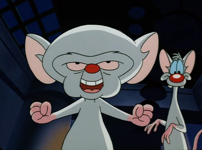 Pinky and the Brain