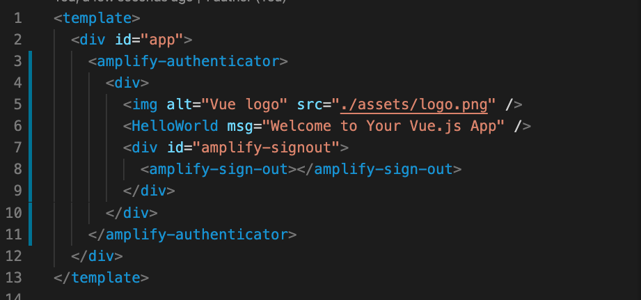 auth code for VueJS