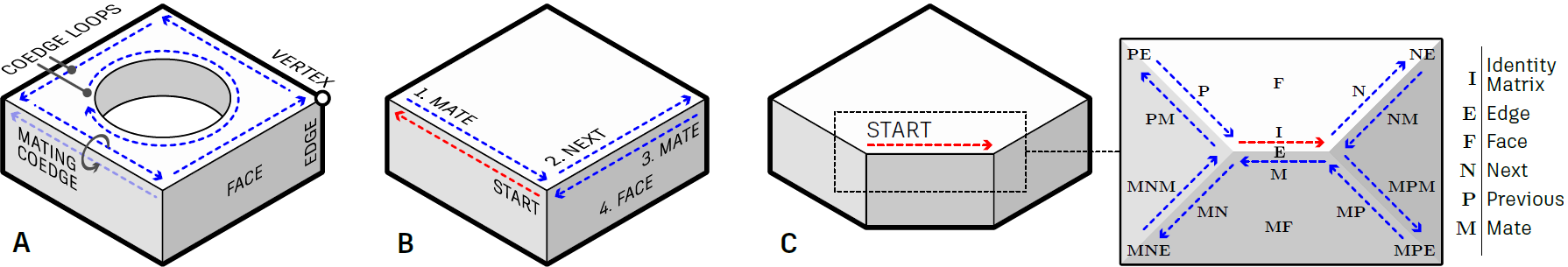 B-Rep topology and topological walks