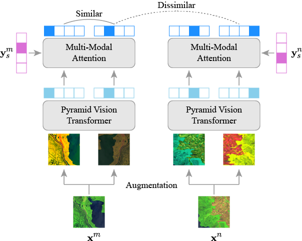 method-pvt-simclr