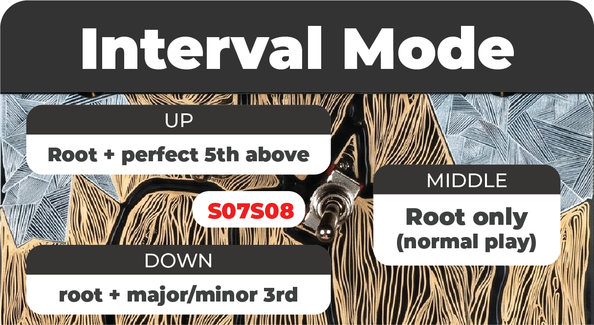 Interval switch