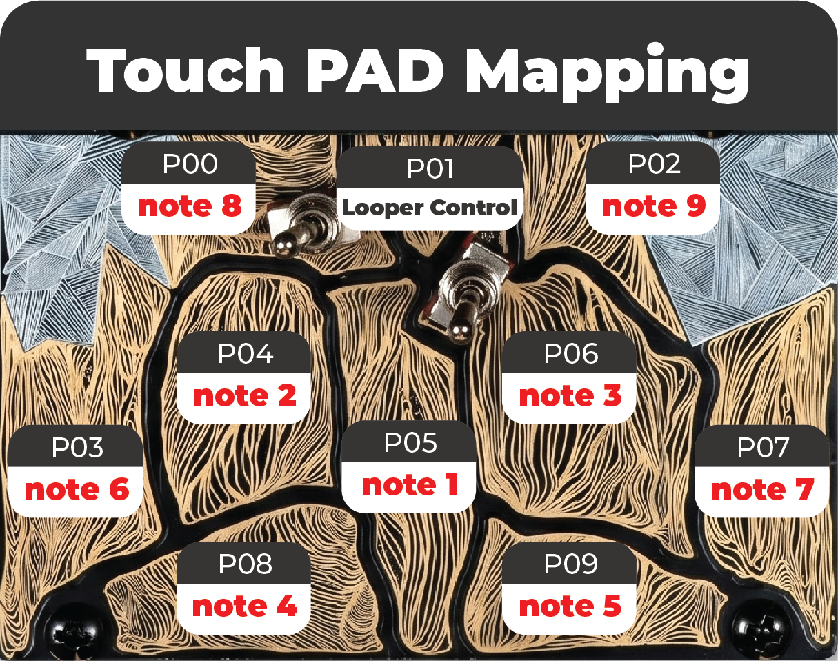 Pad mapping