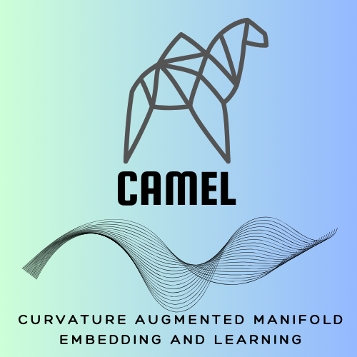 CAMELlogo