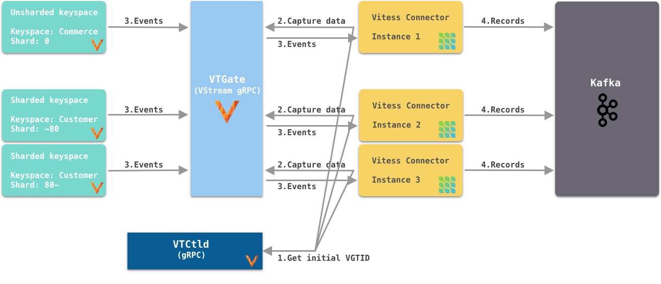 ConnectorShardMapping