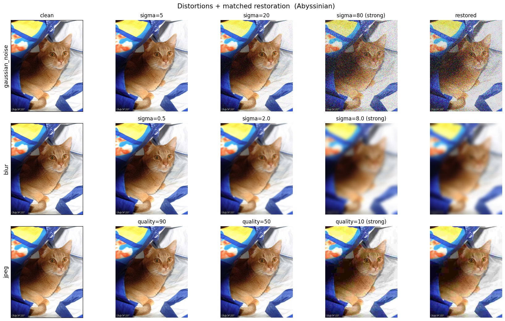 Robust Classification, Segmentation & Keypoint Matching for Pet Images under Noise, Blur & JPEG