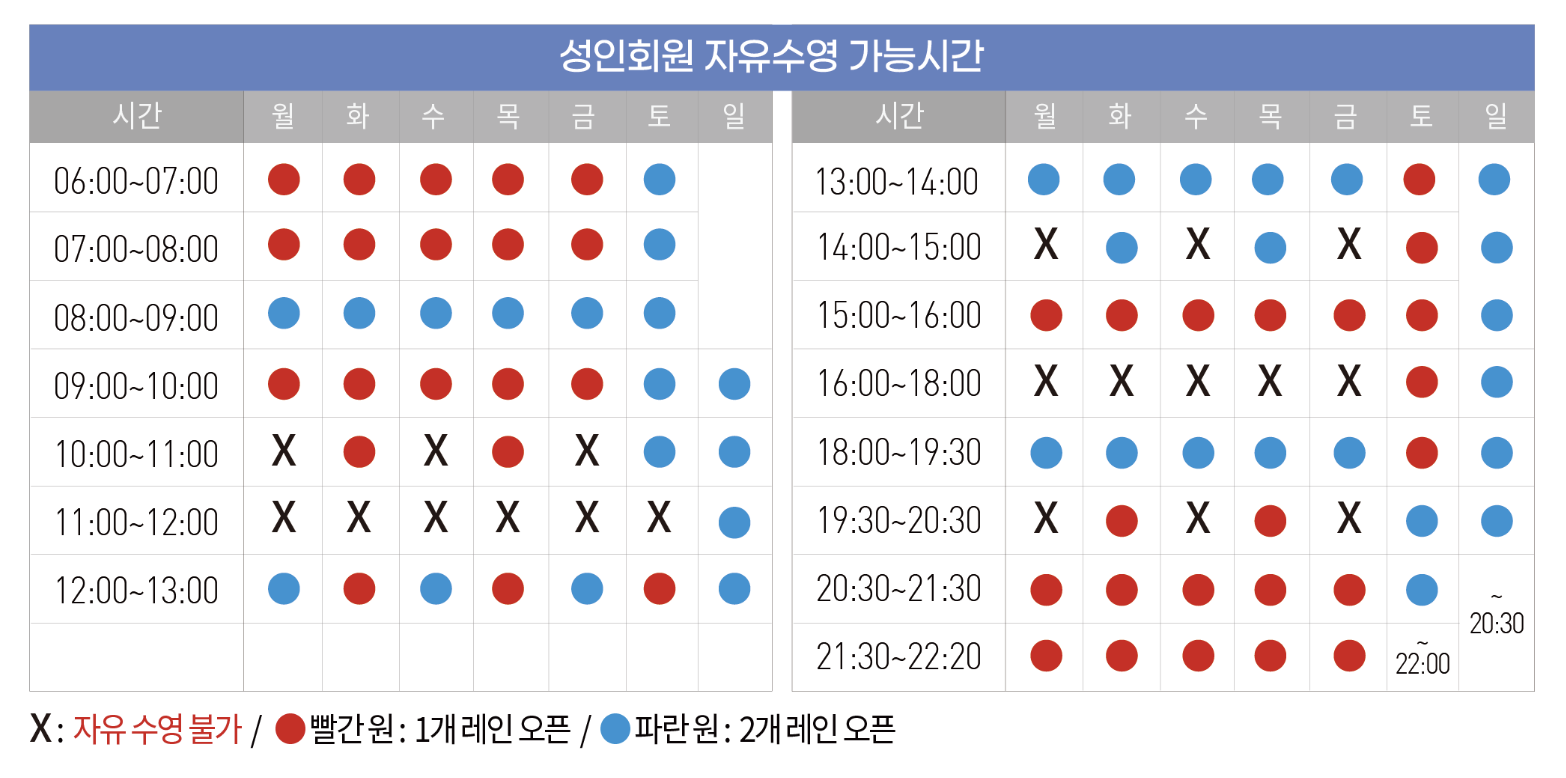 자유수영 스케줄