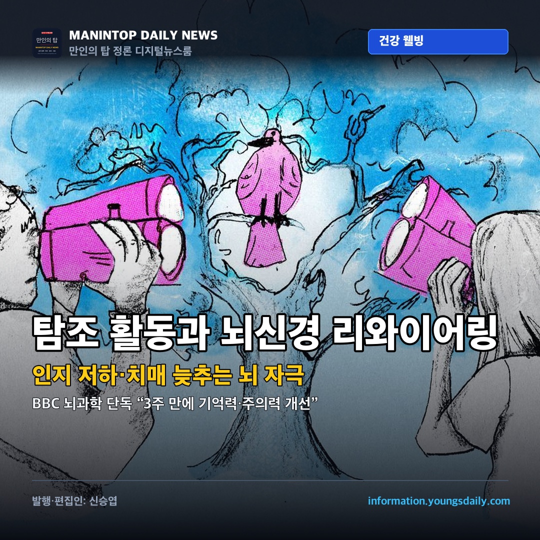 “새를 바라보는 순간, 뇌신경망이 다시 짜인다”… BBC가 밝힌 ‘탐조 활동’의 치매 예방·인지 회복 혁신