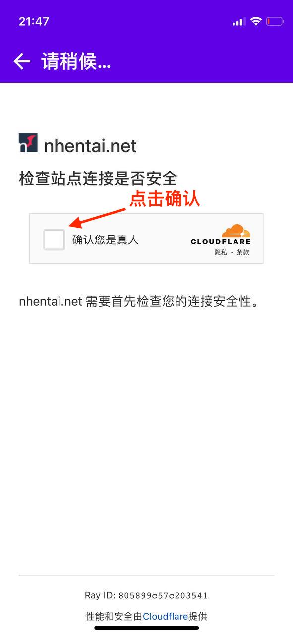 cloudflare_step4