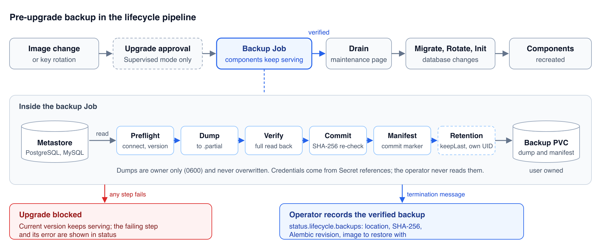Pre-upgrade backup in the lifecycle pipeline