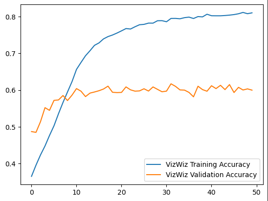 Training VizWiz Accuracy