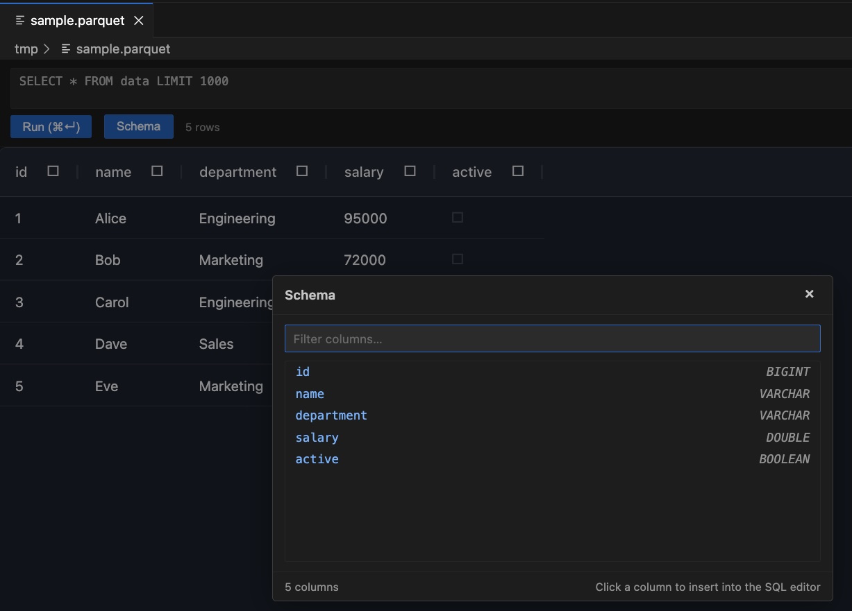 Schema modal showing column names and data types