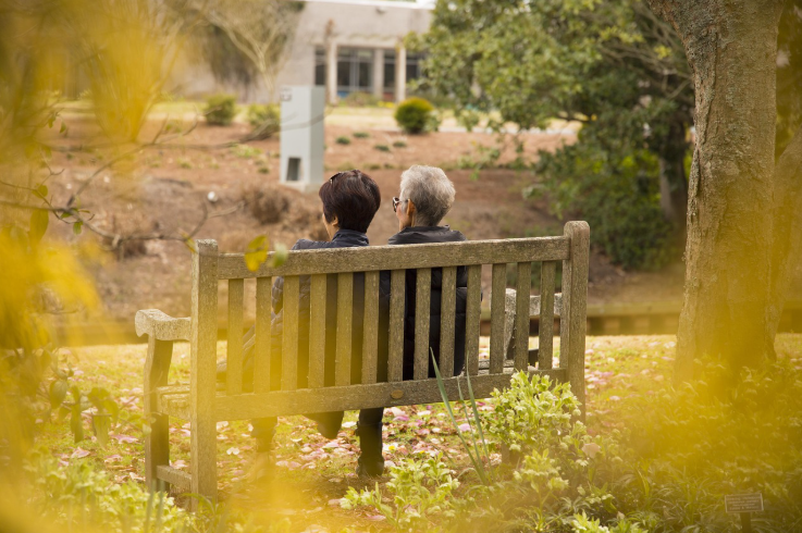 我的父母和家人