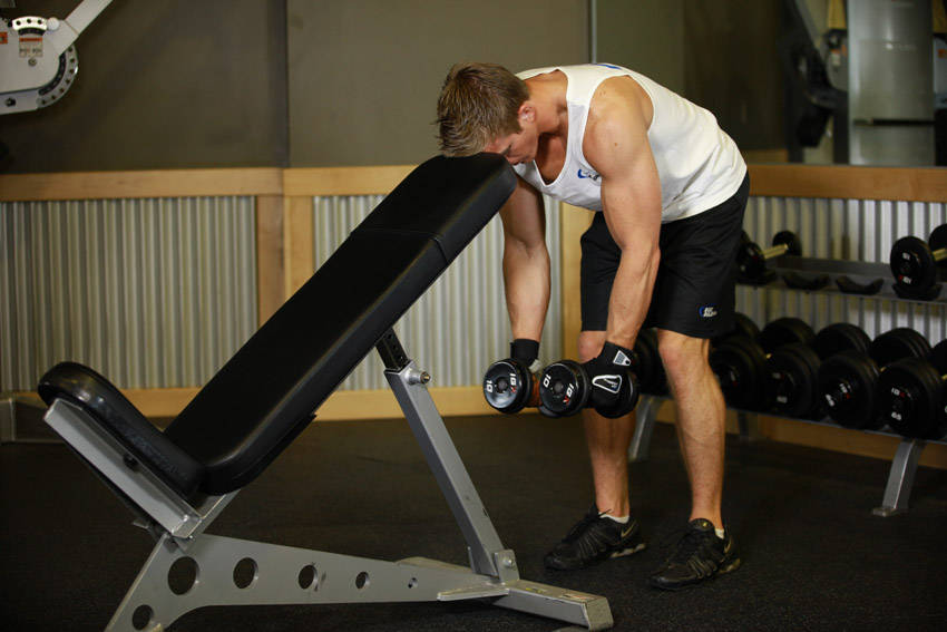Bent Over Dumbbell Rear Delt Raise With Head On Bench starting position