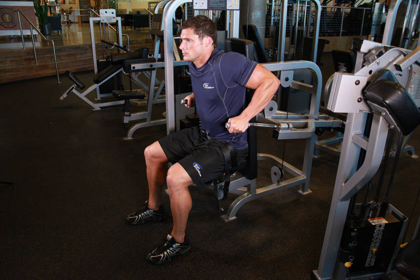 Dip Machine exercise