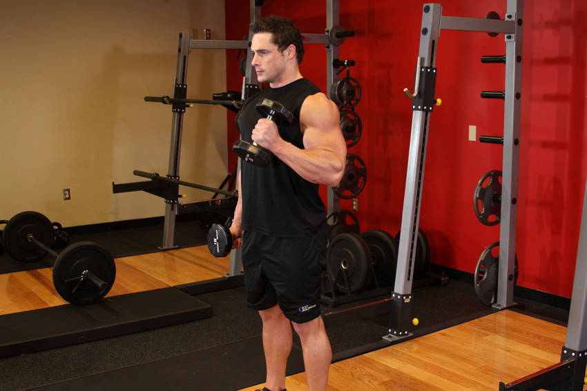 Alternate Hammer Curl reference position 2