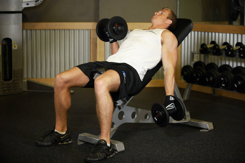 Alternate Incline Dumbbell Curl reference position 2