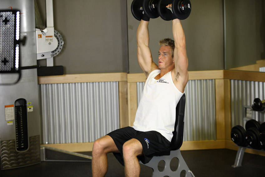 Arnold Dumbbell Press reference position 2